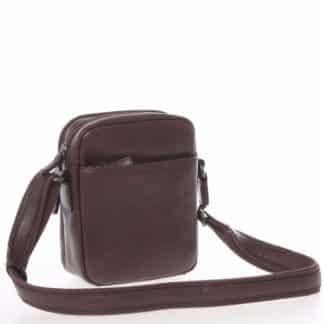 Hnědá luxusní kožená taška na doklady Hexagona 123477 hnědá