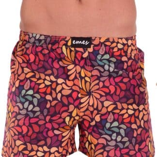 Emes barevné pánské trenýrky Barevné lístky